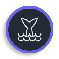 SEA OF CORTES - MEDICAL ASSISTANCE -ALAV.LINK