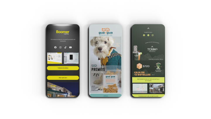 Alav.link Phone Mockup Micrositio PRODUCTOS (Small)