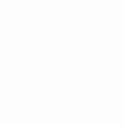 Discord (Custom)