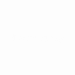 Razorpay (Custom)
