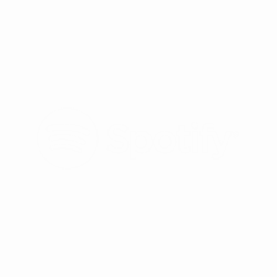 Spotify (Custom)