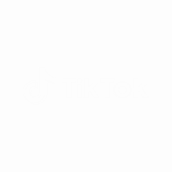 Tiktok (Custom)