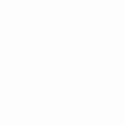 Whatsapp (Custom)